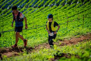 BIB: 951
                            <button type="button" onclick="openModal(19162006)" class="btn btn-primary btn-sm float-right btn-popup" data-toggle="modal" data-target=".modal-high-quality">
                        <i class="fas fa-shopping-cart"></i> Add to Cart
                    </button>
                                            <button type="button" onclick="isThisMe(19162006, true)" class="btn btn-success btn-sm float-right btn-popup btn-isme hidden" data-toggle="tooltip" data-placement="bottom" title="นี่คือรูปของคุณใช่ไหม คลิกที่นี่เพื่อเอาเข้าอัลบั้ม">
                        <i class="fas fa-plus"></i> Add to album
                    </button>
                    <button type="button" onclick="isThisMe(19162006, false)" class="btn btn-warning btn-sm float-right btn-popup btn-isnotme hidden">
                        <i class="fas fa-ban"></i> Remove from album
                    </button>